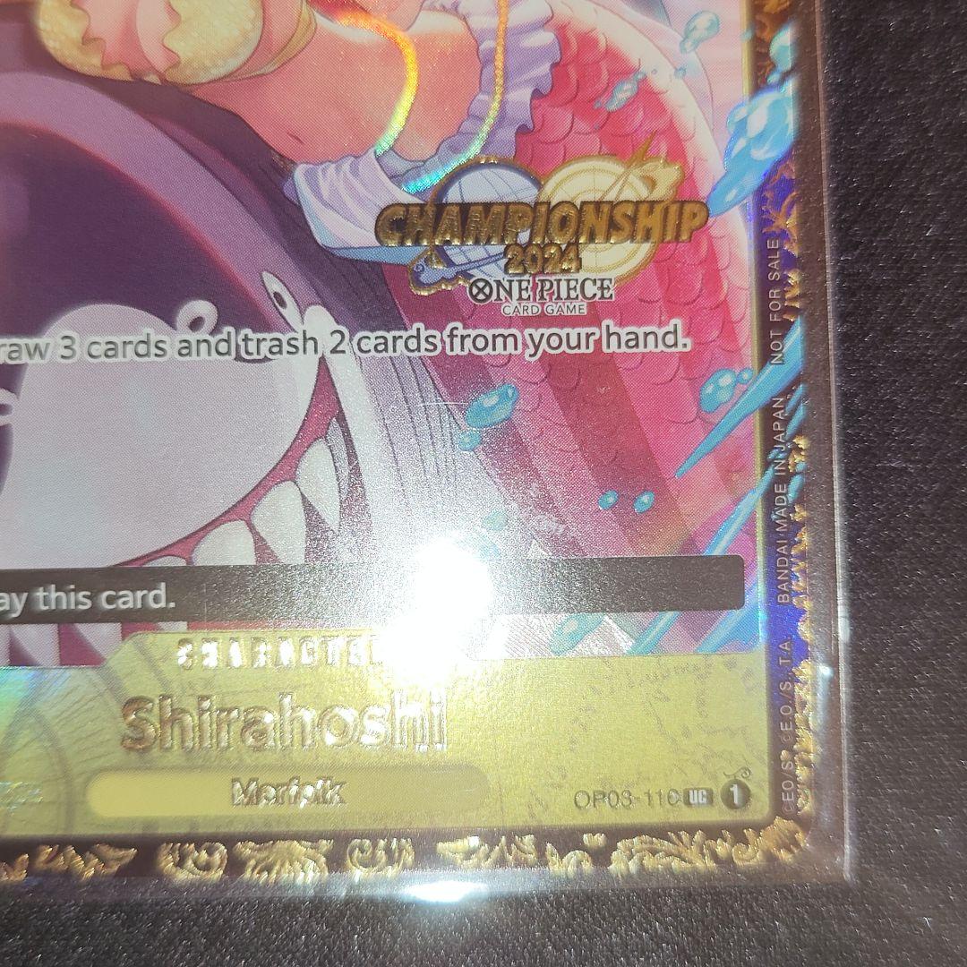 英語版】しらほし チャンピオンシップ プロモ 英語版しらほし