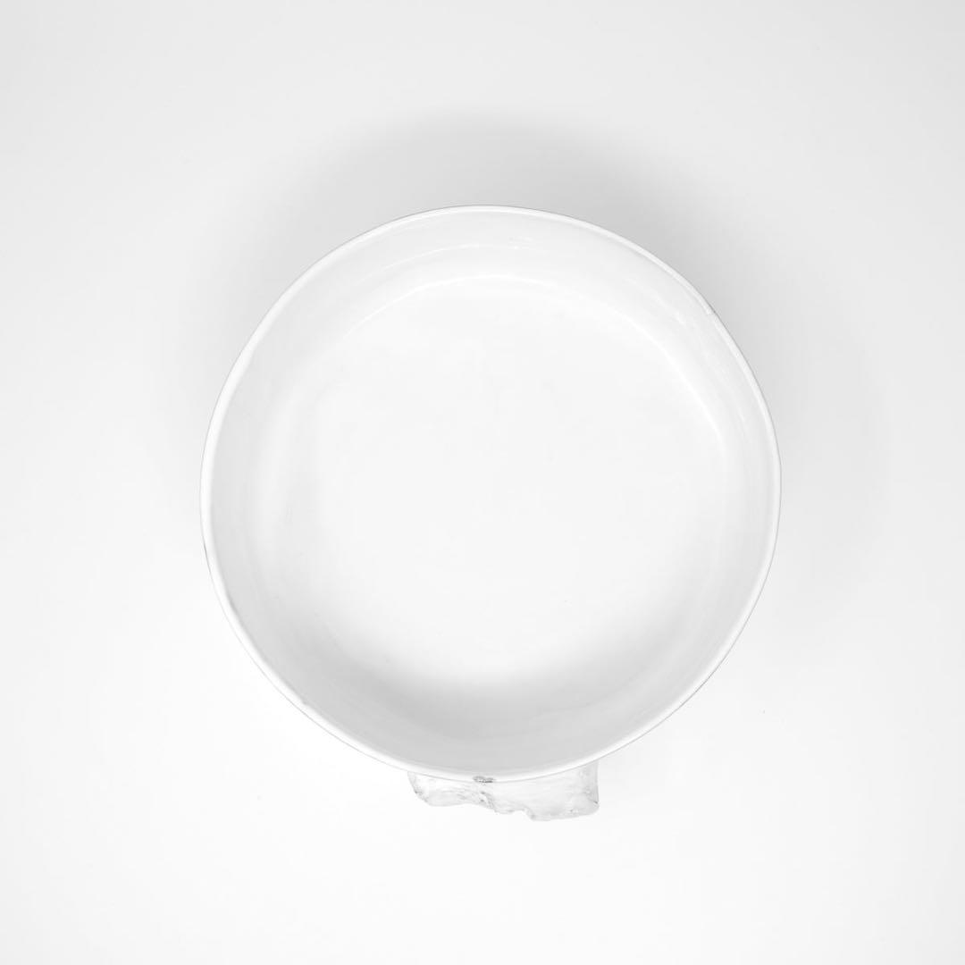 キャロンcarronドッグフードボウル犬用食器 アスティエ 犬 フード