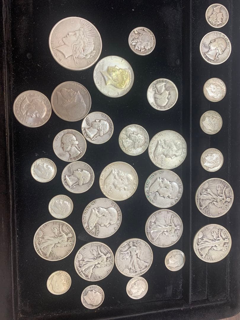 アンモナイトの化石 オーストリーで入手a012-420(yh)