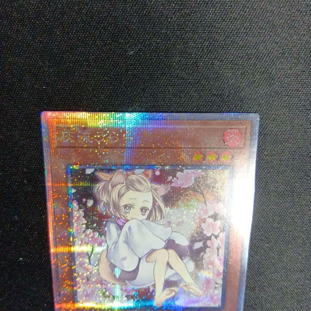 遊戯王　はるうらら　ハルウララ　灰流うらら　25th　絵違い