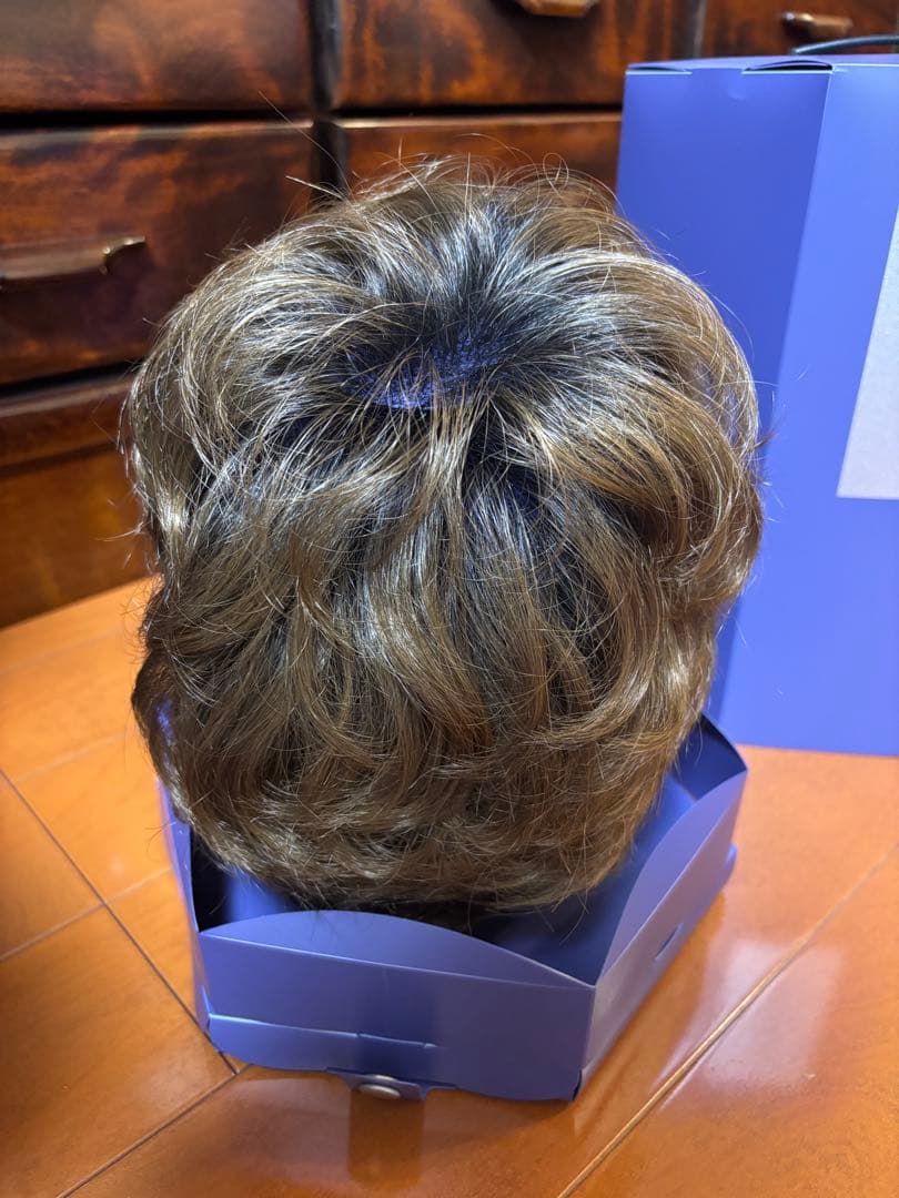 【れいこさま専用】フォンテーヌ　カツラ　ショート