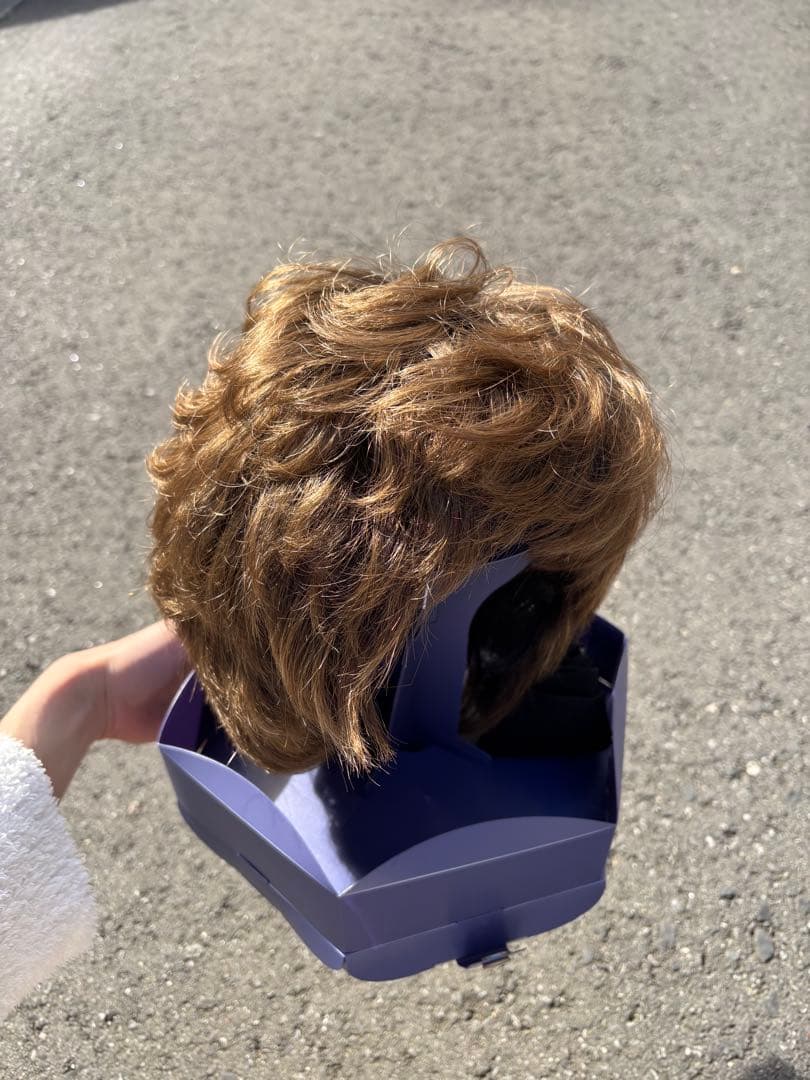 【れいこさま専用】フォンテーヌ　カツラ　ショート