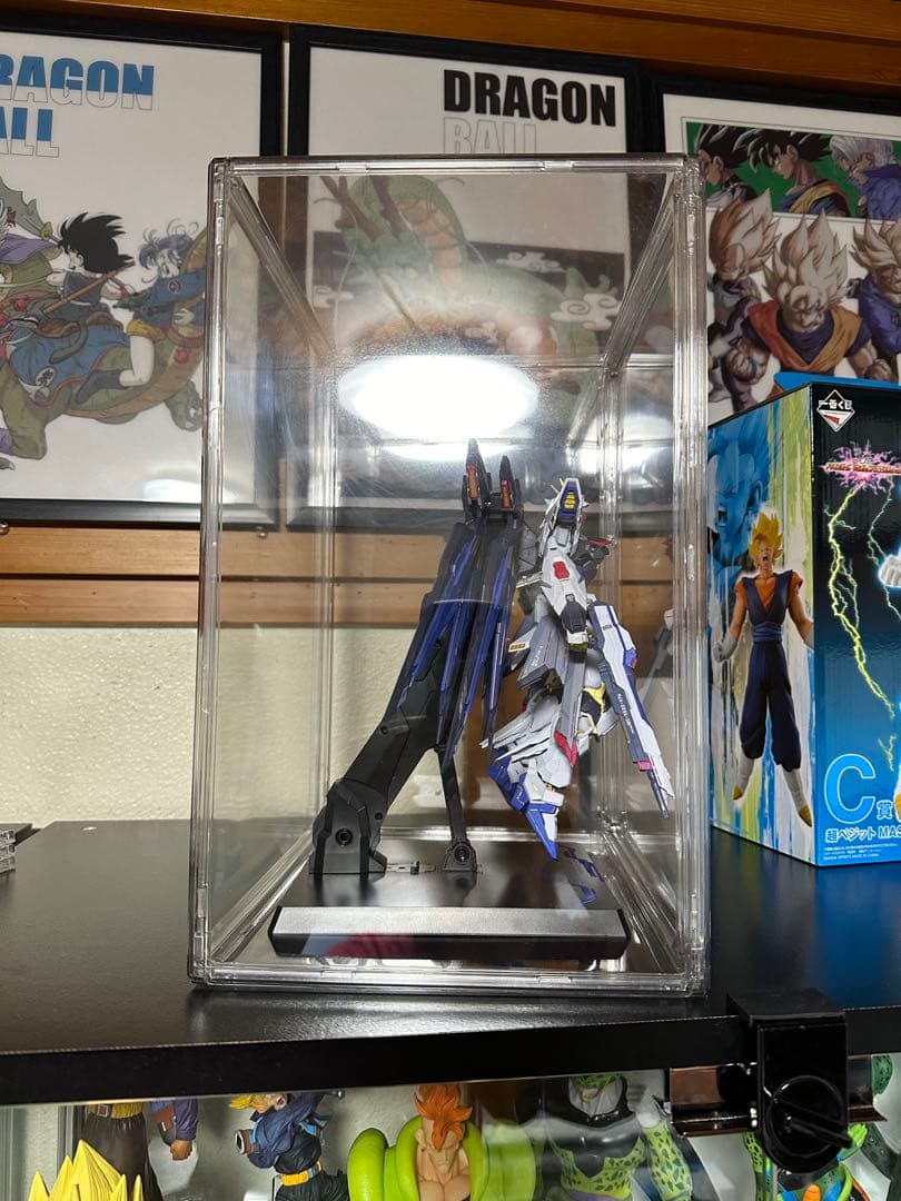 v*s様 メタルビルド ストライクフリーダムガンダム➕光の翼