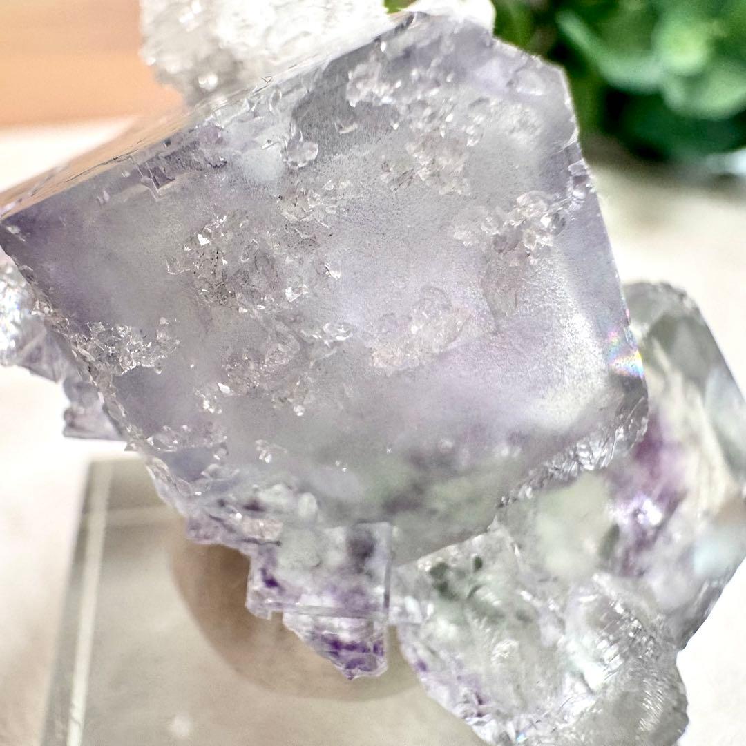 ◇【D021】フローライト 浙江省産 Bタイプ 原石 鉱物 標本