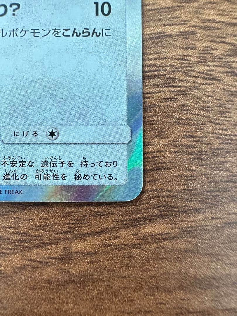 ポンチョを着たイーブイ (ブラッキー)