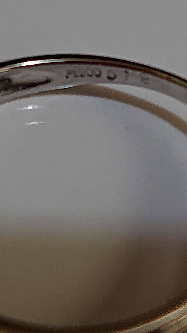 希少石PT900グランディディエライトリング　【ソーティングあり】