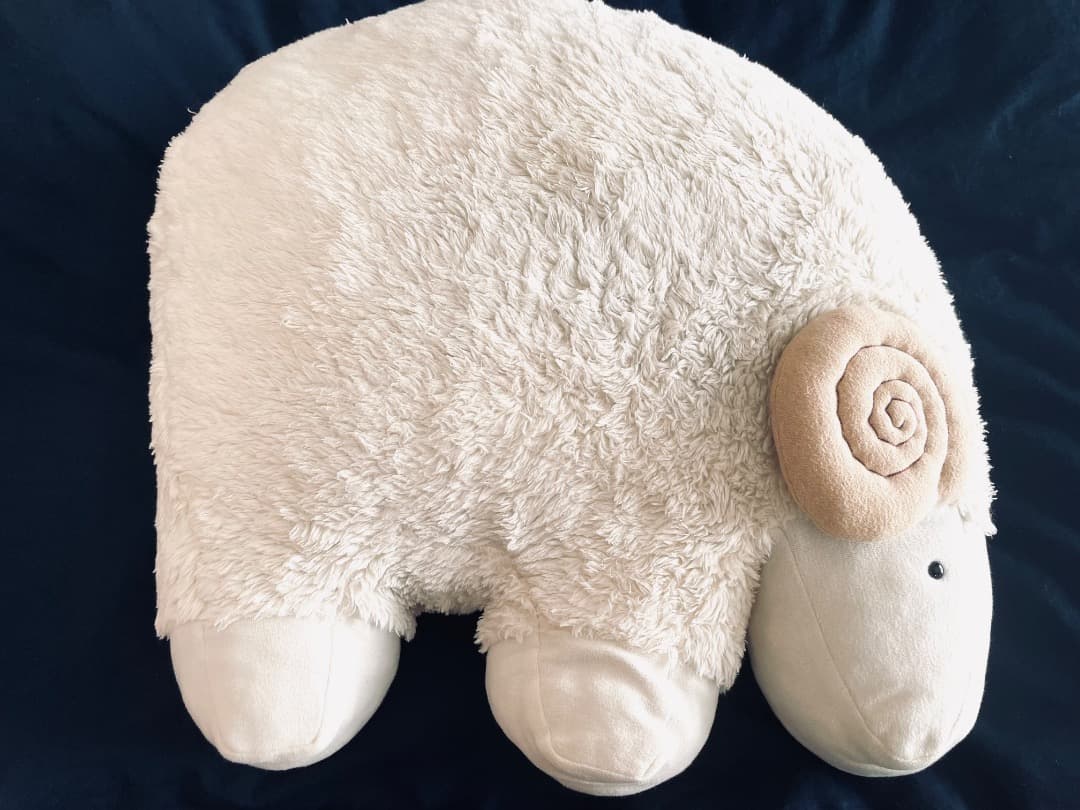 ヒツジ　枕　クッションオーガニック　 PRISTINE (プリスティン)