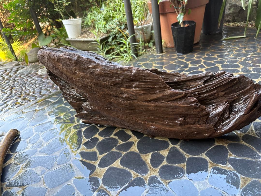 G7 流木 灰汁抜き処理済み 美肌美白特大流木122cm楽天市場】流木 アク抜き