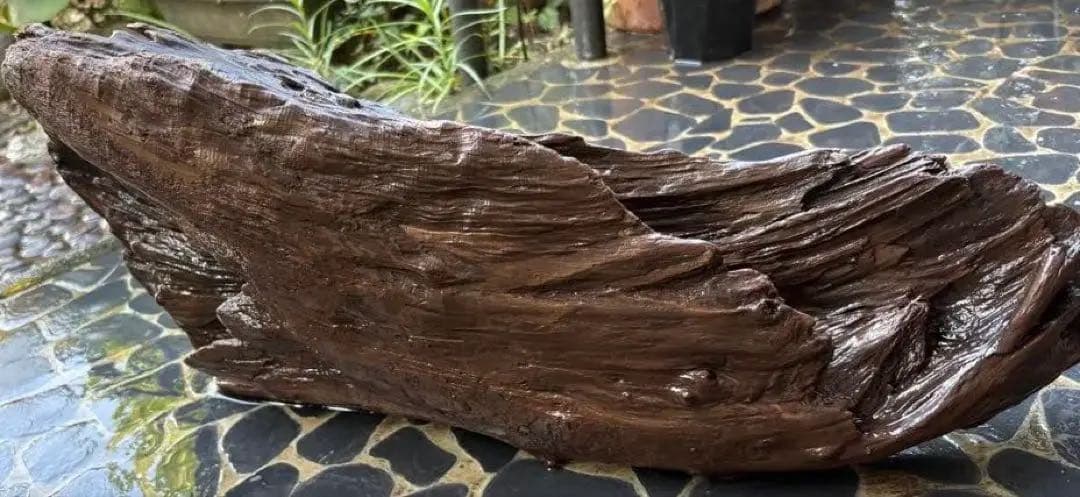 アク抜き済み 流木（水槽用流木）｜レイアウト用品｜熱帯魚