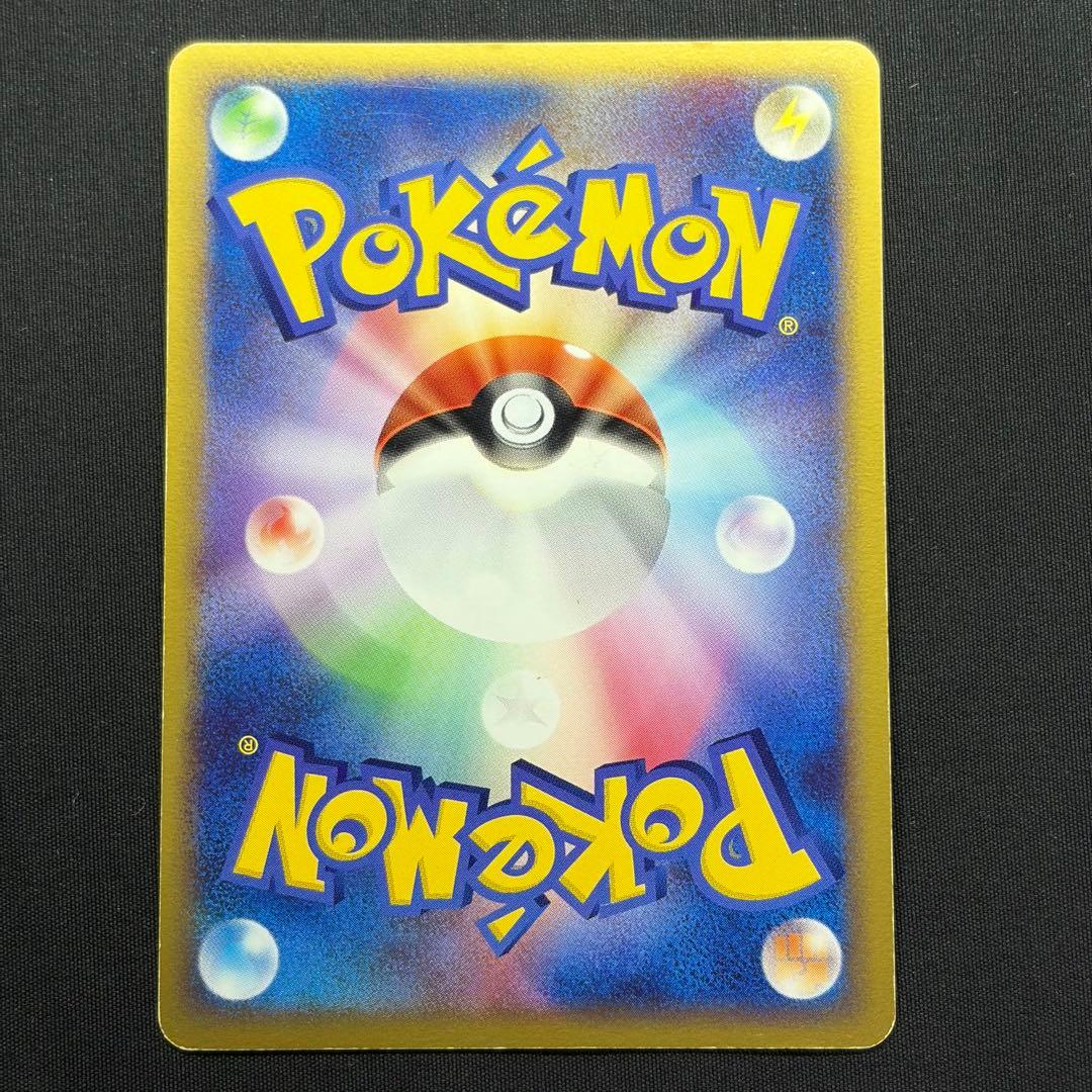 【希少ポケパーク限定】ポケモンカードゲーム フォレストシート プレミアムファイル