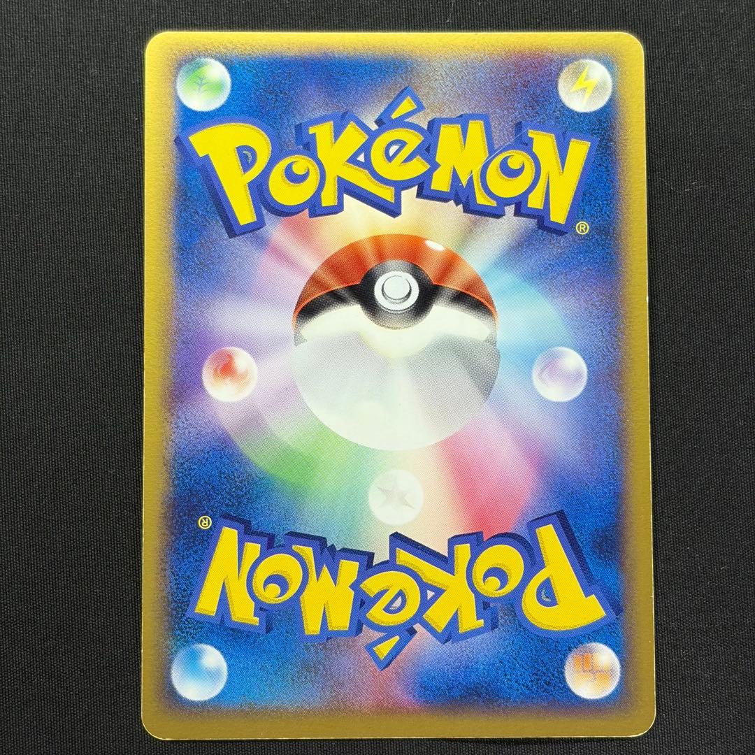 【希少ポケパーク限定】ポケモンカードゲーム フォレストシート プレミアムファイル