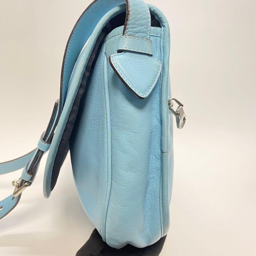 【希少カラー】ロエベ ヘリテージ ショルダーバッグ ブルー 水色 Loewe