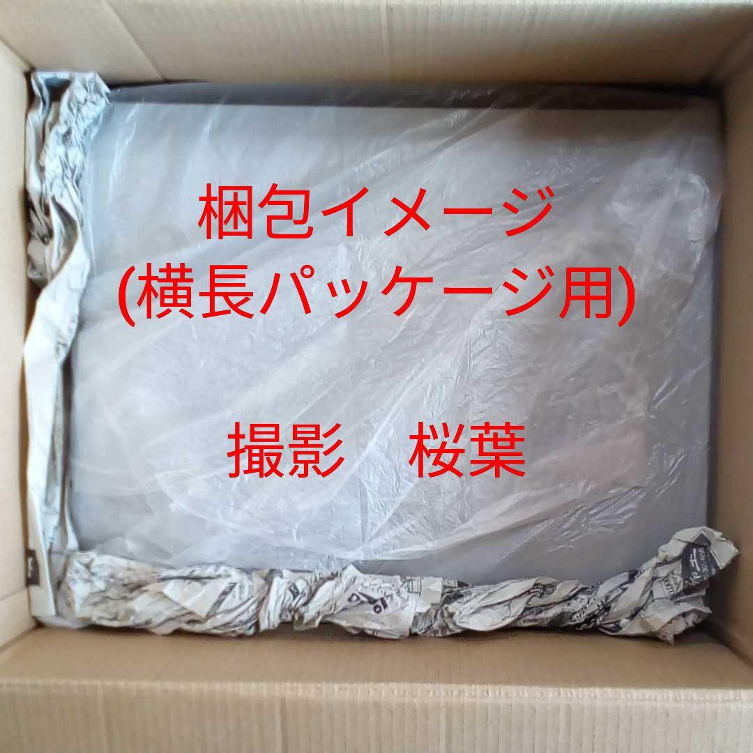 ガンプラ hg ガンダムTR-1 ハイゼンスレイ 内袋未開封 未組立