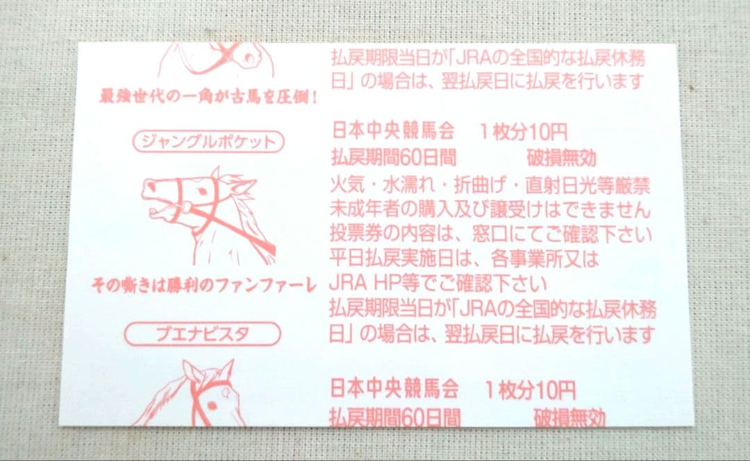 ジェンティルドンナ 2012年ジャパンカップ 現地購入単勝馬券