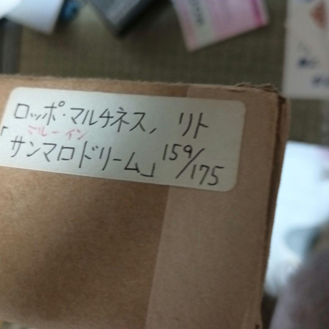 ロッポ・マルチネス サンマロドリーム リトグラフ 159/175