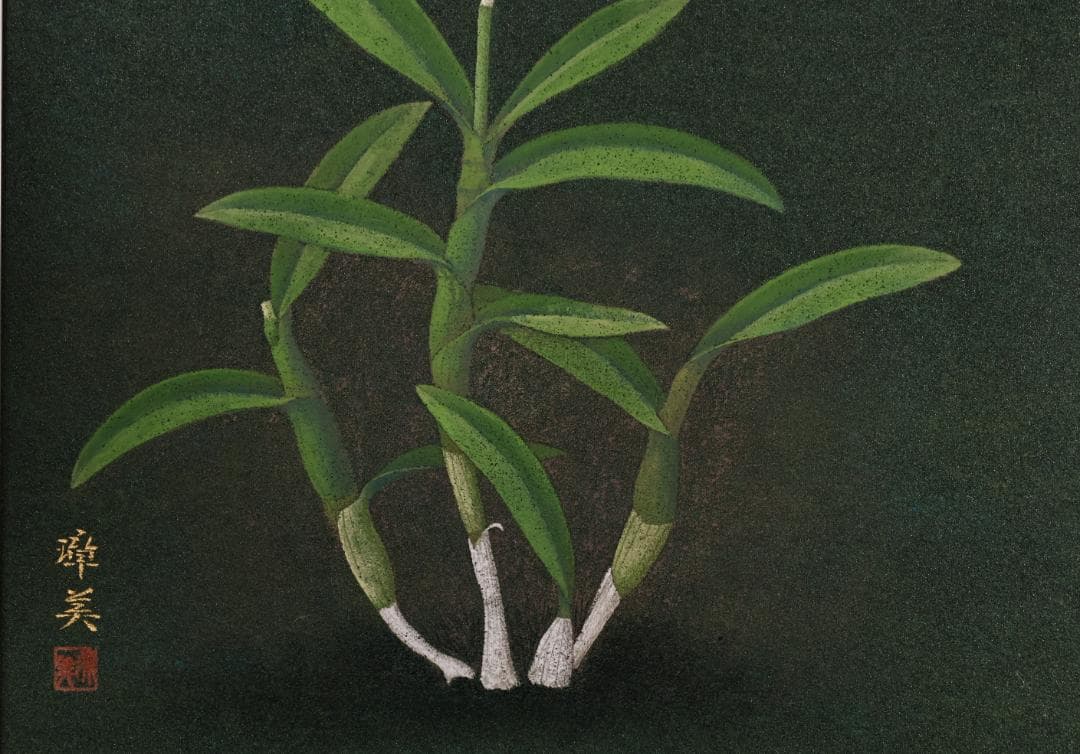 池内璋美 「 蘭花 」　10号　岩彩画　共シール　タトウ　黄袋　BK60