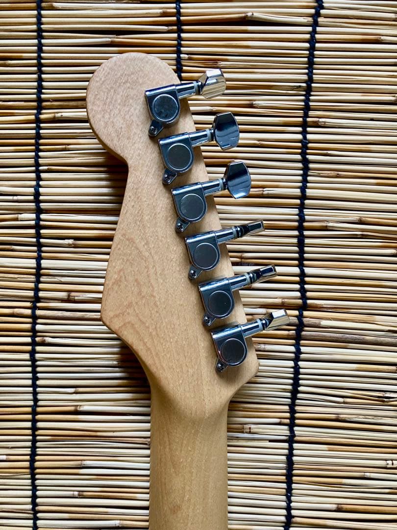 ☆新機能満載　3つのピックアップを多彩に組合せできるBUSKERS ST