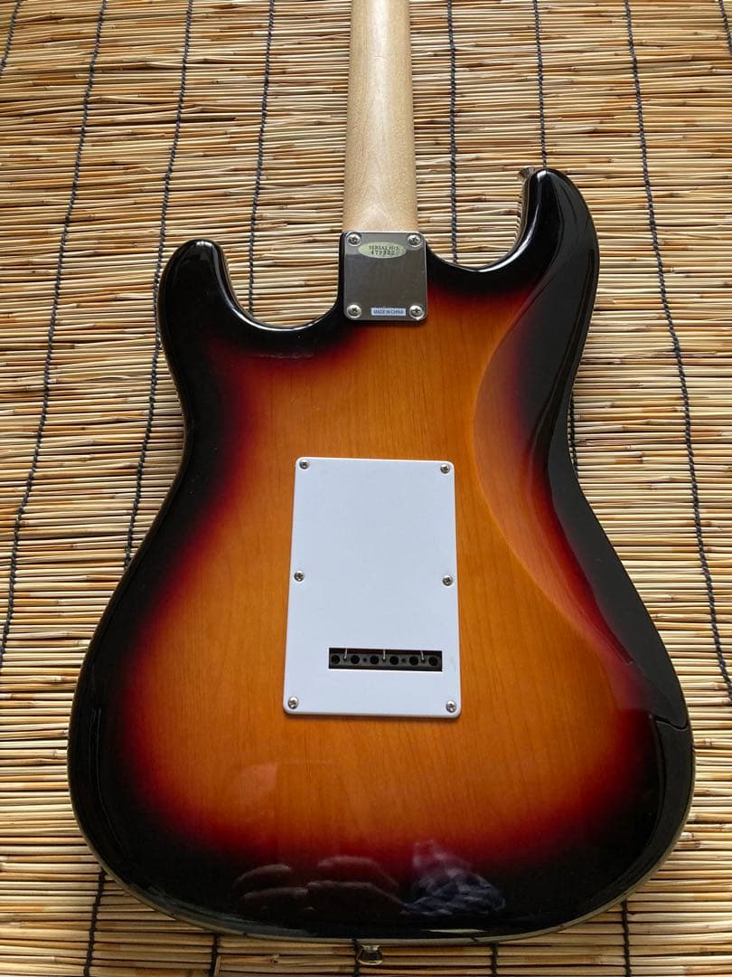 ☆新機能満載　3つのピックアップを多彩に組合せできるBUSKERS ST