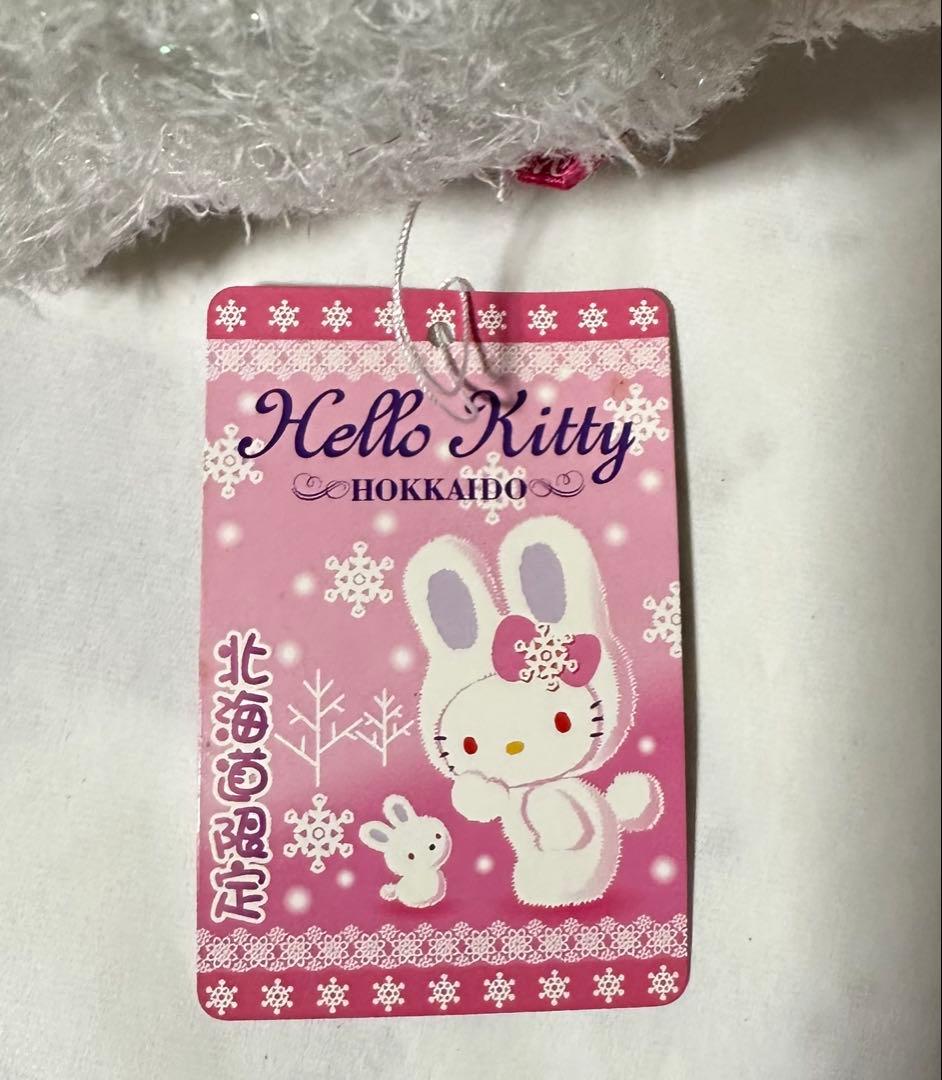 激レア　ご当地キティ　静岡いちご＆北海道雪うさぎ　入手困難　廃盤品　希少