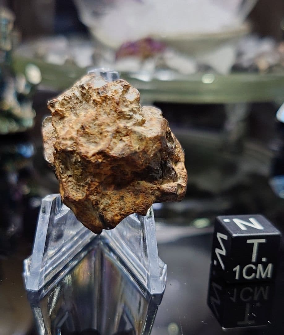 隕石 イミラック パラサイト 22.7g Imilac ⭐