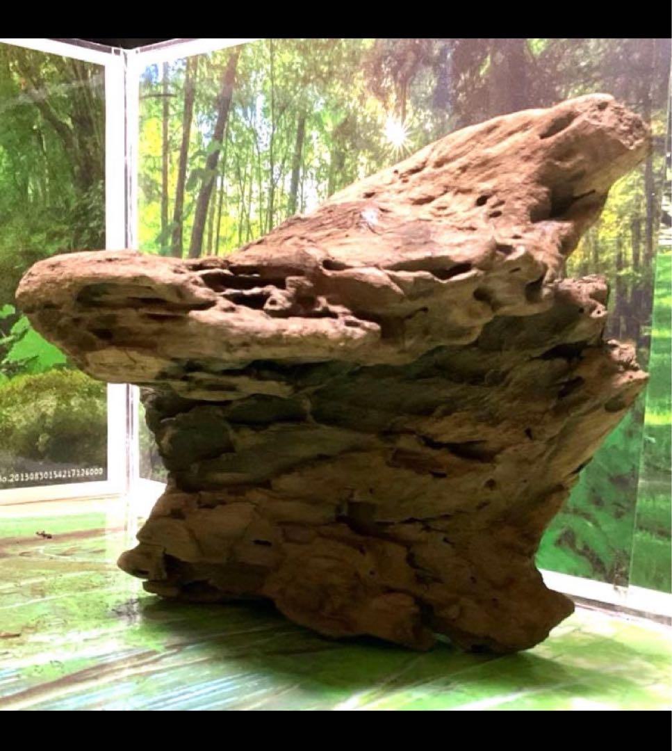 モスキート様専用4点 天然水槽用流木