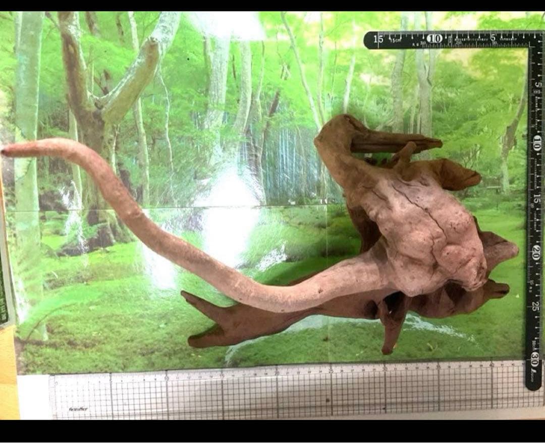 モスキート様専用4点 天然水槽用流木