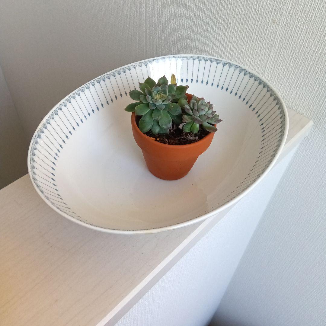 ARABIA Heini ヘイニ オーバルボウル （М）