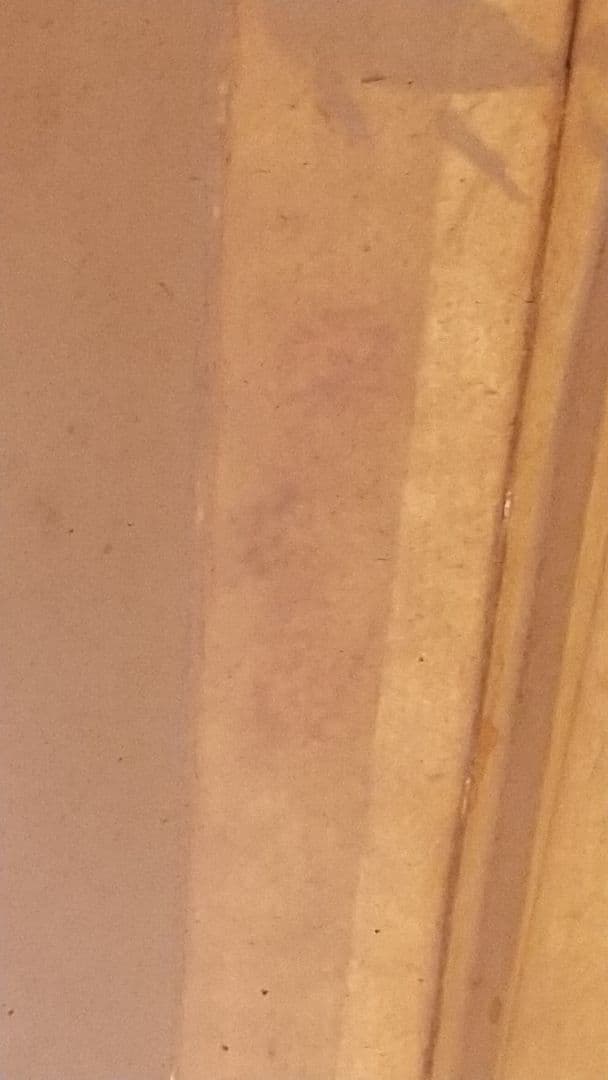 扇子中国  趙谷画  謝葛書  咸豊年間？ 清国？