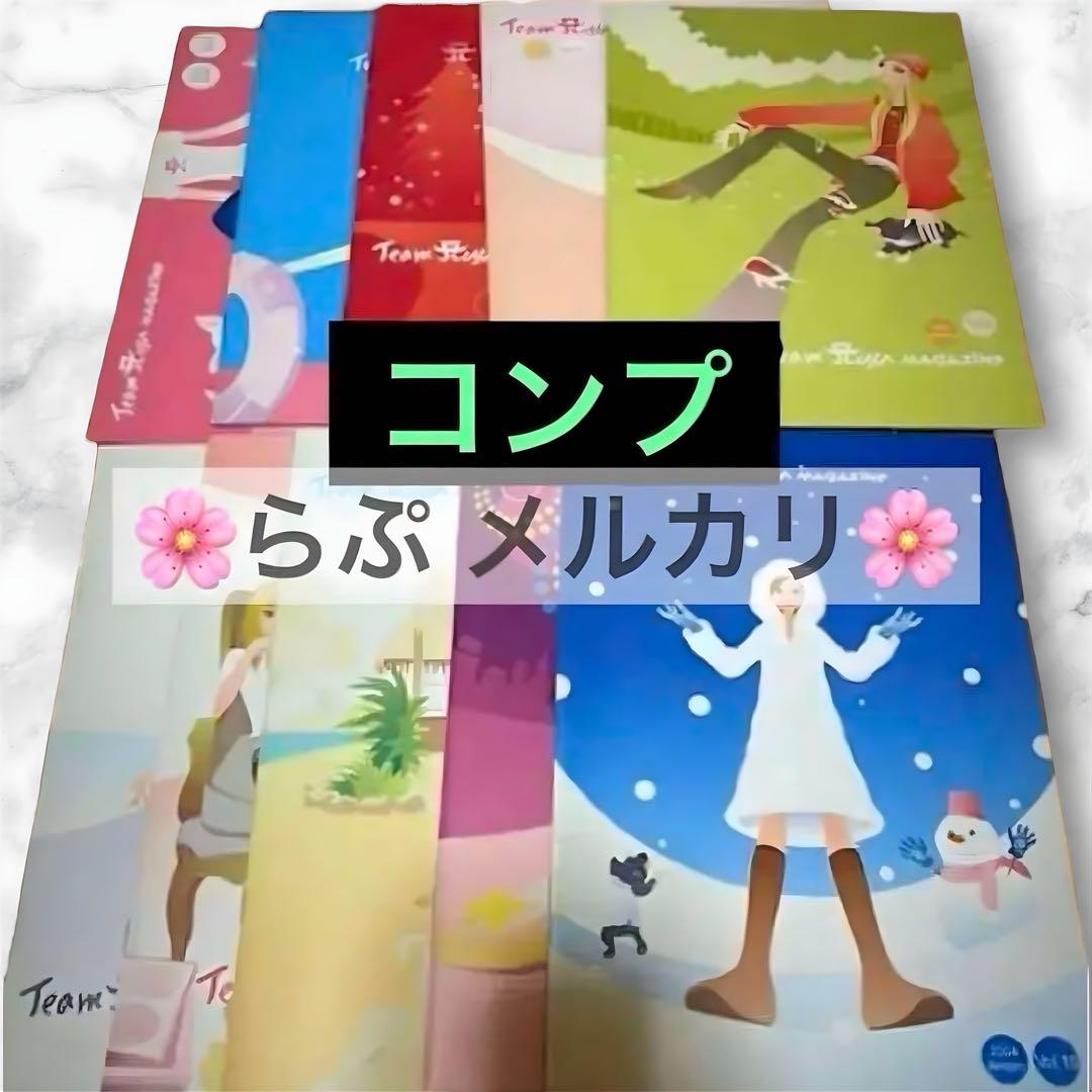 浜崎あゆみ コンプ 会報 TeamAyu vol.1-47 2015-2016