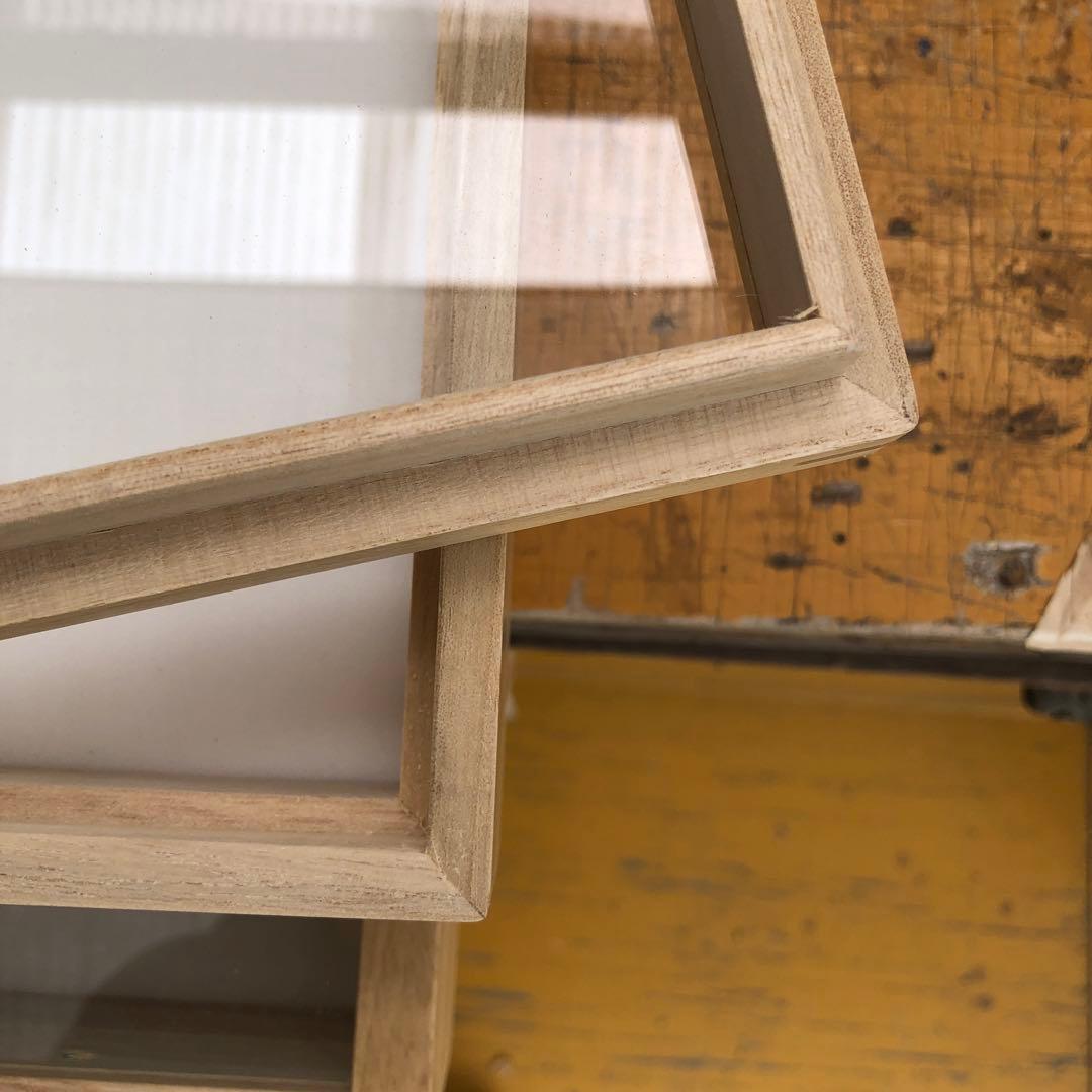 中型標本箱 4箱 バードウィング製 ドイツ型標本箱 大型BW60 【黒】 |