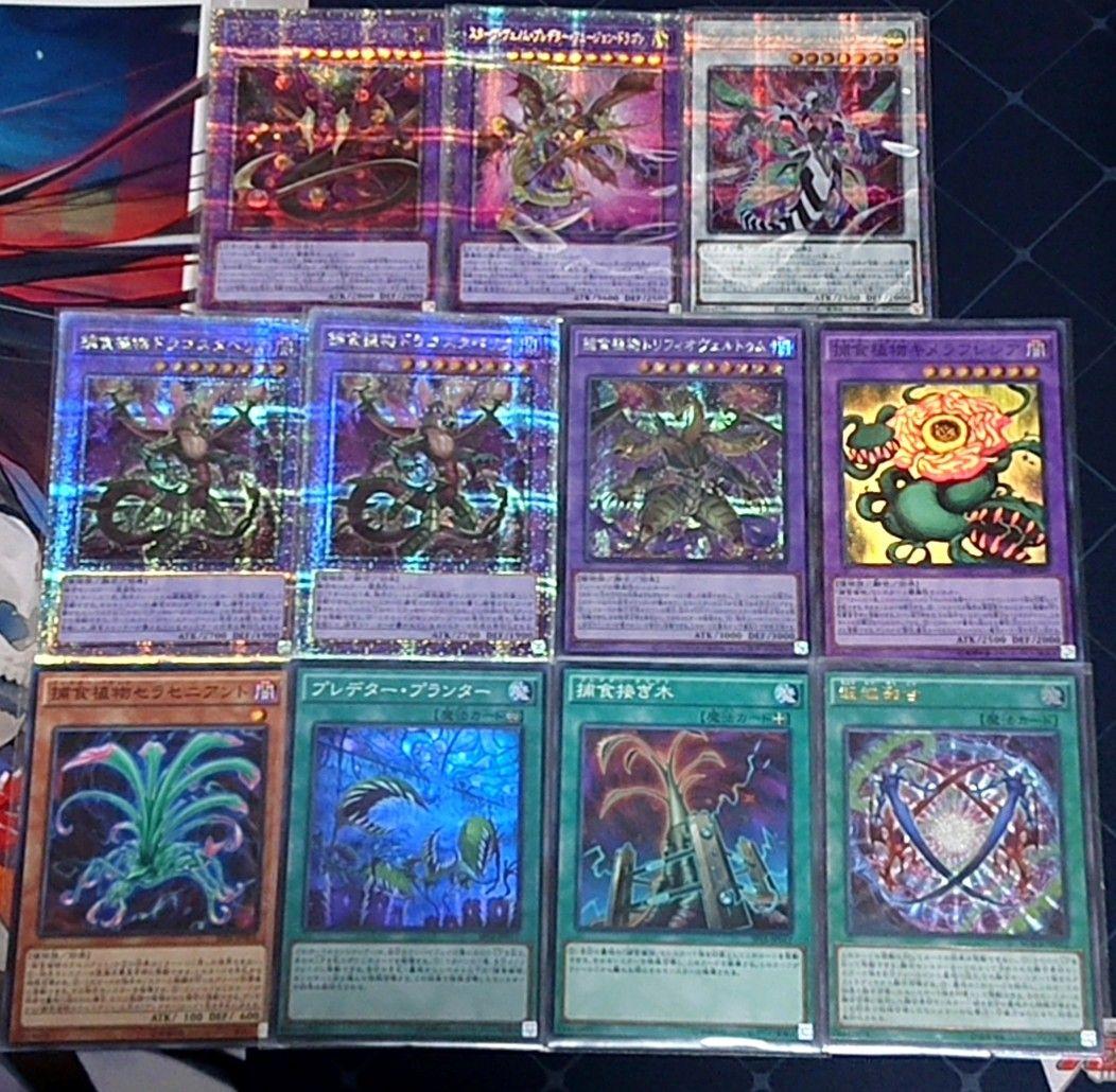 高レアリティ 旧弾 遊戯王 捕食植物 プレデタープランツ デッキパーツ