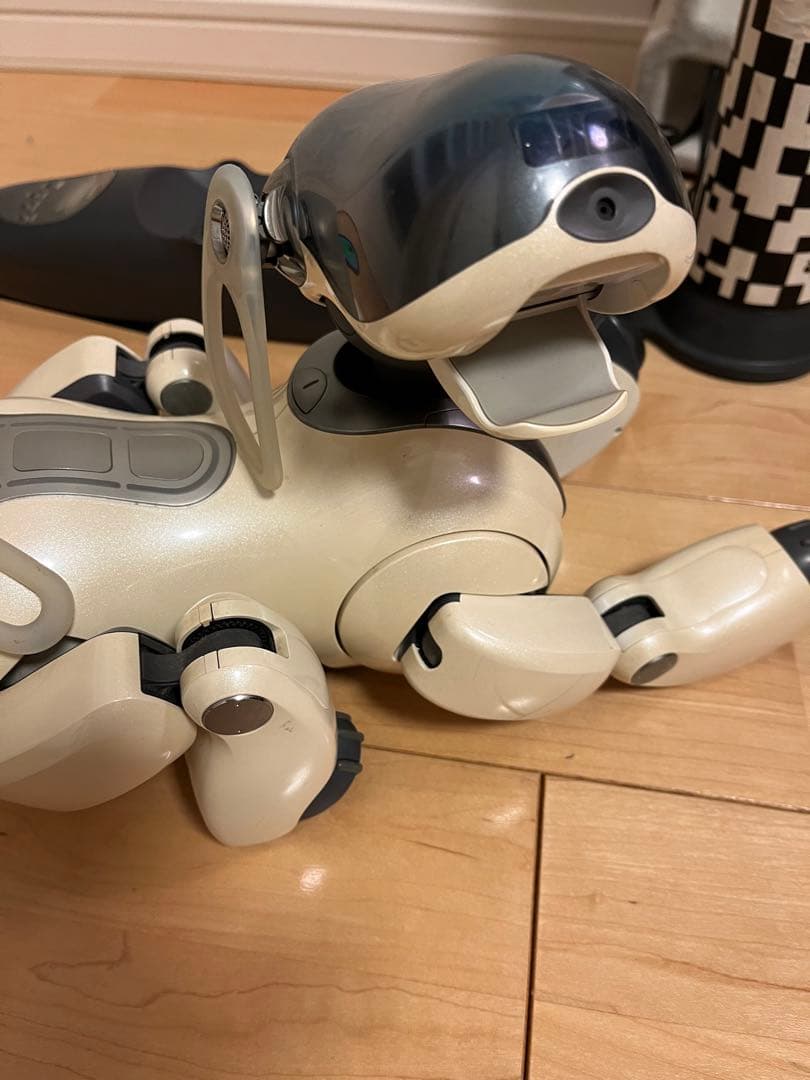 SONY Aibo 本体 充電ステーション ソニー アイボ ERS-1000 SONY Aibo