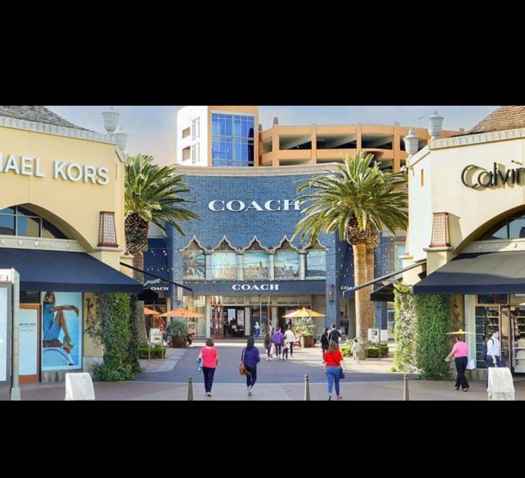 COACH コーチミディアム チェリー プリント さくらんぼ 二つ折り財布