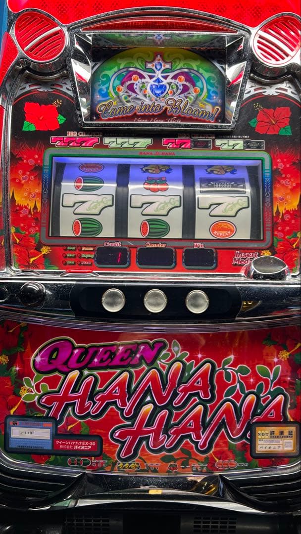 パチスロ実機 クイーンハナハナ 家庭用電源 パチスロ実機 クイーンハナハナ 家庭用電源 S115513930 安価