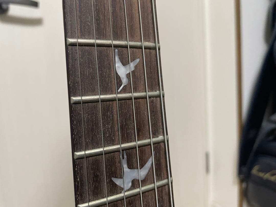 【即購入OK & 値下げ◎】PRS SE custom レフティ(ケース付き)