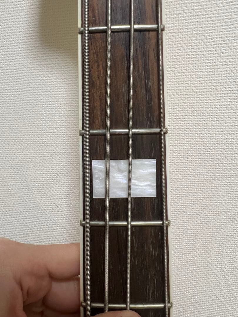 ミュージシャン EDWARDS E-JB-103R/LT