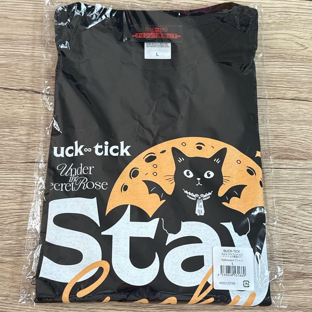 XG a- nation2025限定ラキドロ トレカ コンプリートセット