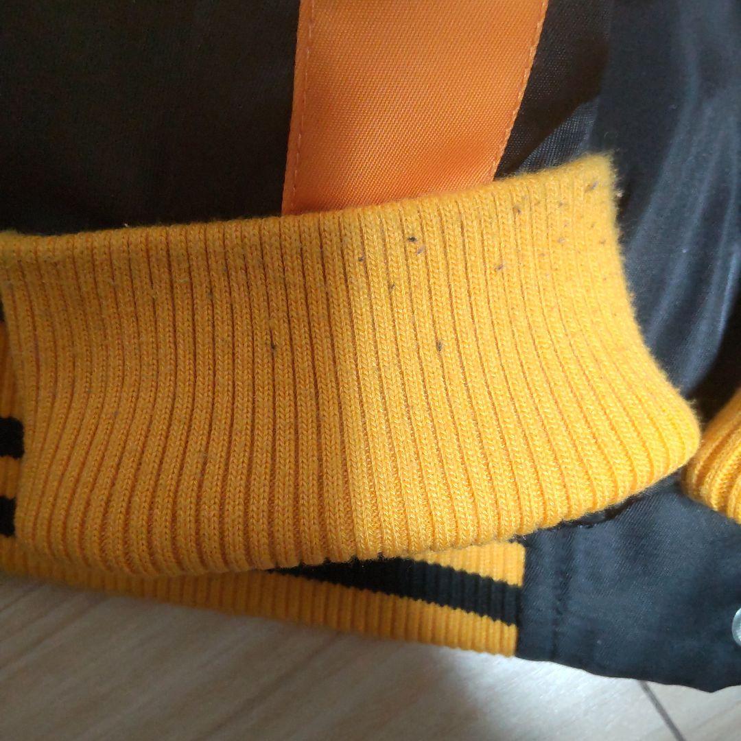 リザードン スタジャン ポケモン