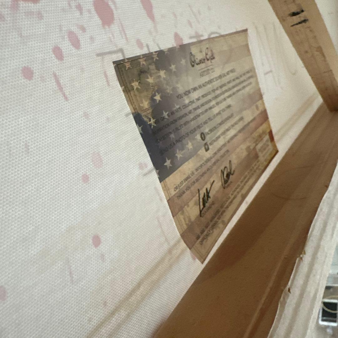 オリバーガル 最大サイズ キャンバス絵 コレクション