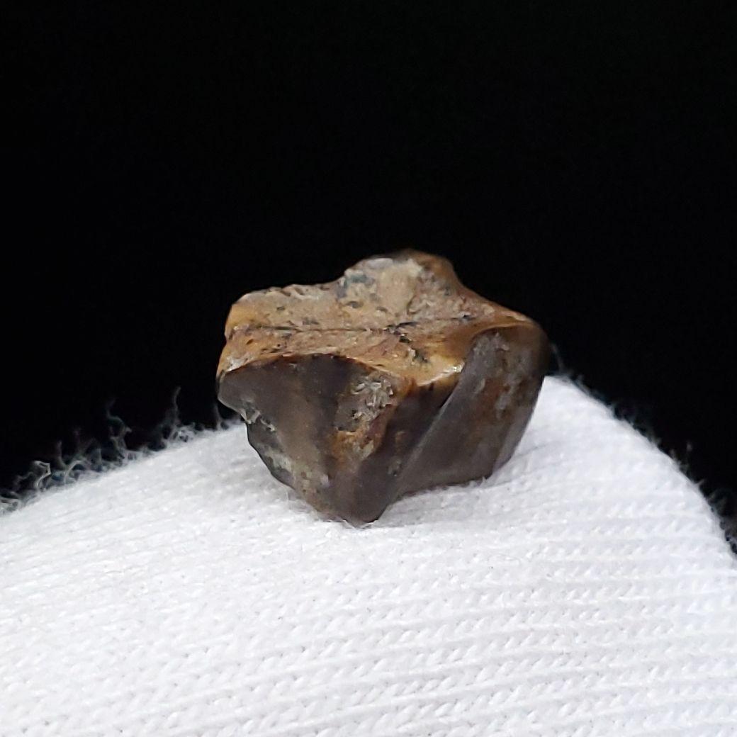 希少 ブラキロフォサウルス 化石 歯 恐竜 モンタナ州産 9.28mm fr84