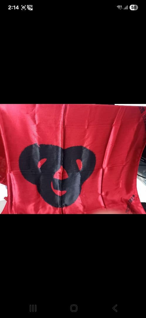 ポルノグラフィティ フラッグ レア ポルノグラフィティ フラッグ レア ポルノグラフィティ フラッグ レア