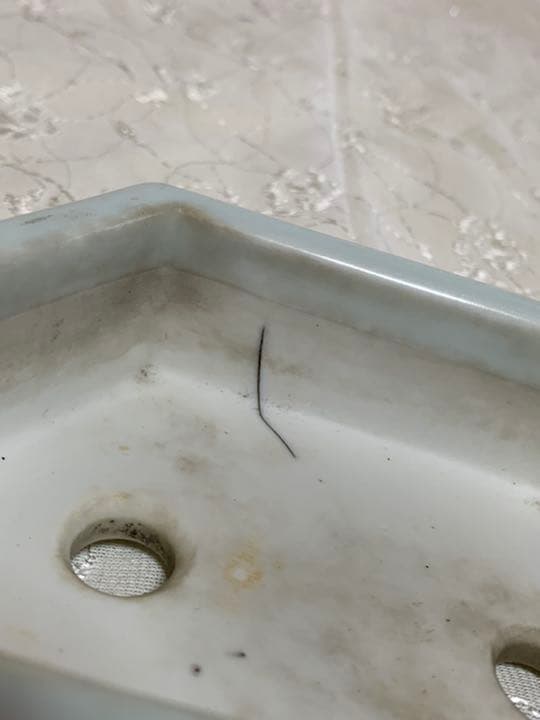 磯山4点セット　人気鉢