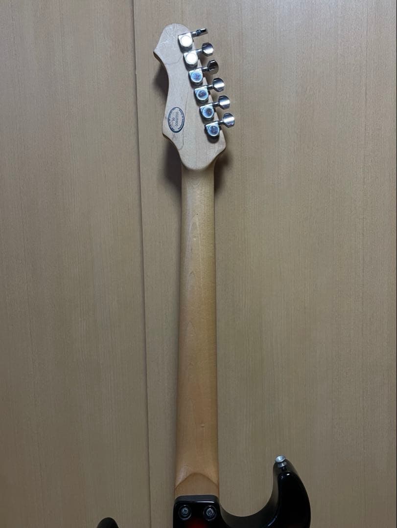 Line 6 Variax600 本体+ケース