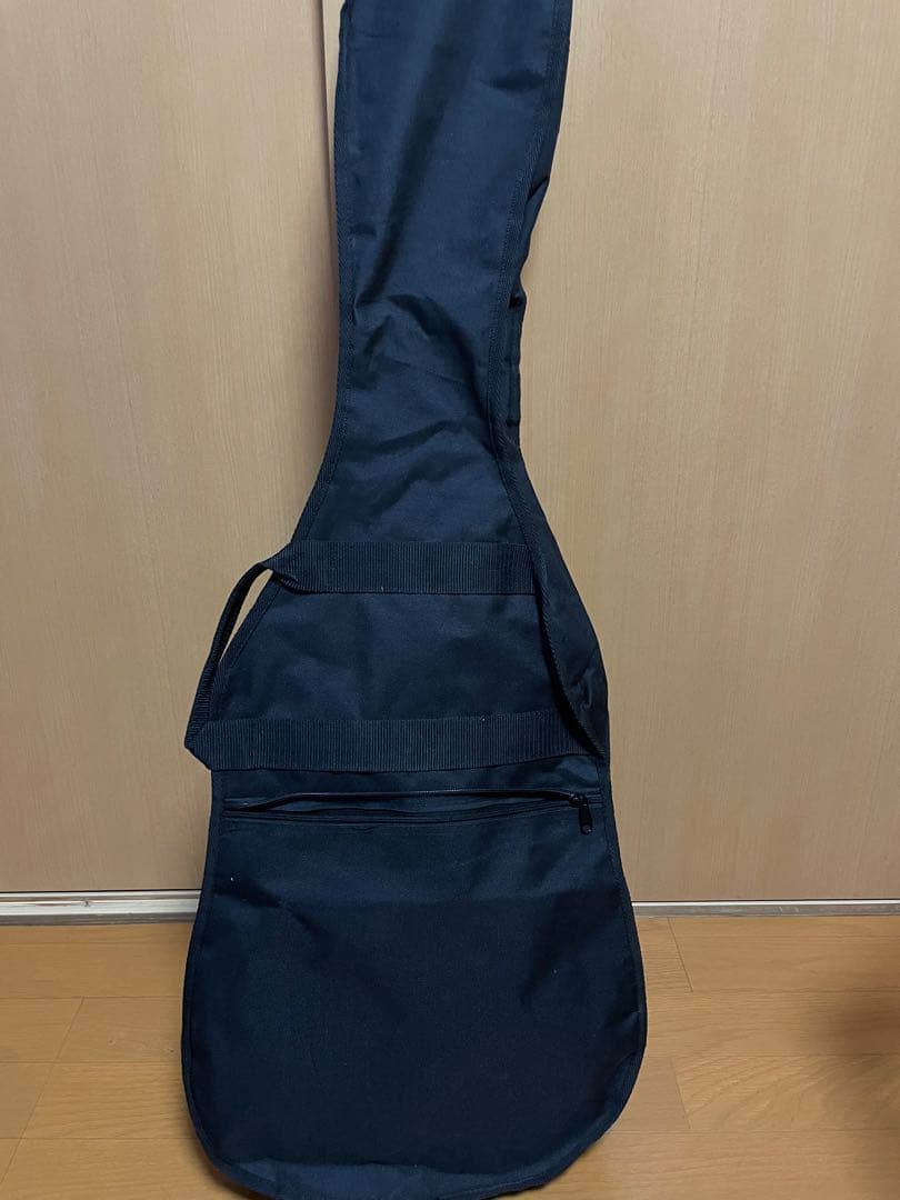 Line 6 Variax600 本体+ケース