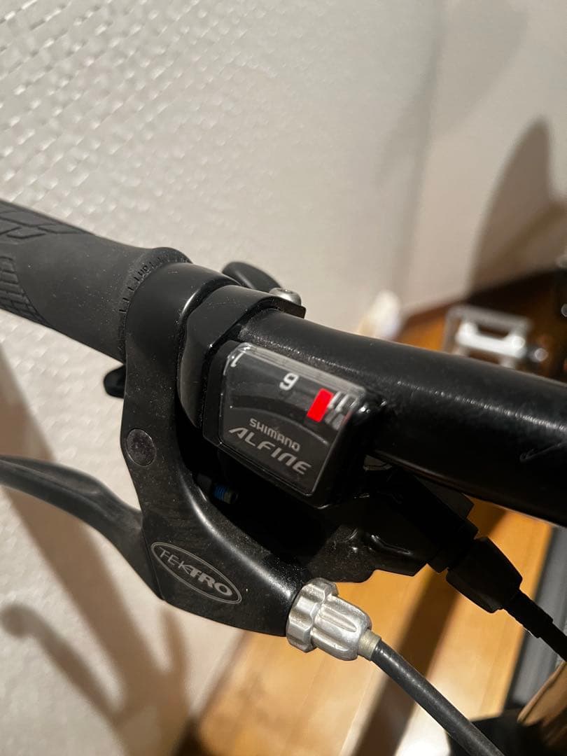 Riese und Müller BD-1 折りたたみ自転車