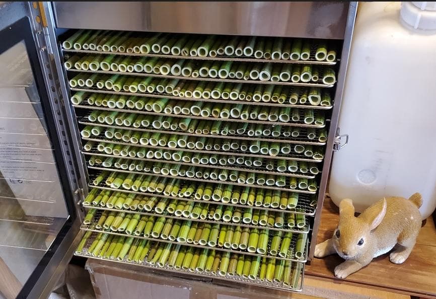 大容量 7000g (国産・高品質)乾燥パパイヤの茎（無農薬・有機肥料）