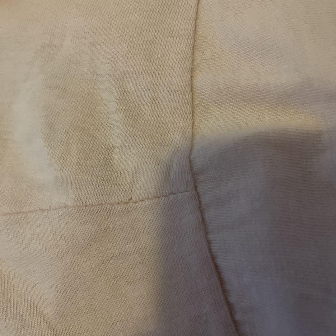 パタゴニア葛飾北斎 浮世絵スペシャルヴィンテージ染み込みプリント