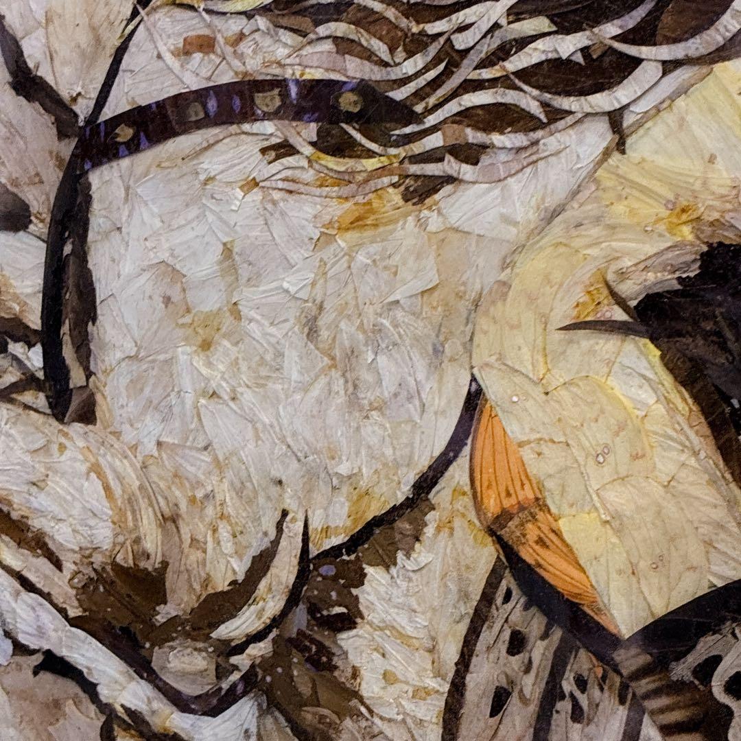 珍品 アンティーク 蝶画 羽 ナポレオン 特大サイズ ヴィンテージ レトロ 騎馬