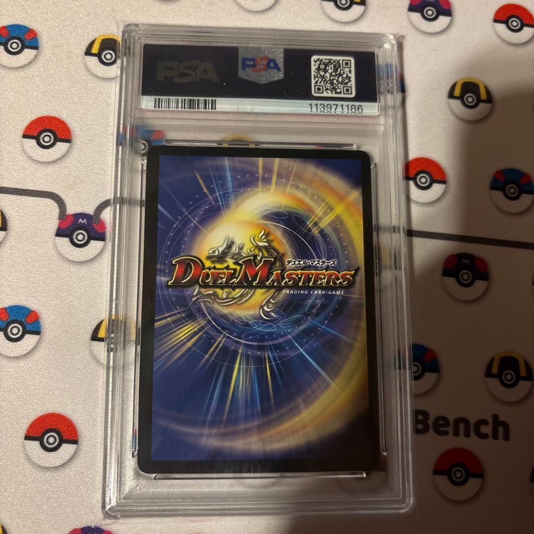 【PSA8】覇竜鳳ドルザバード