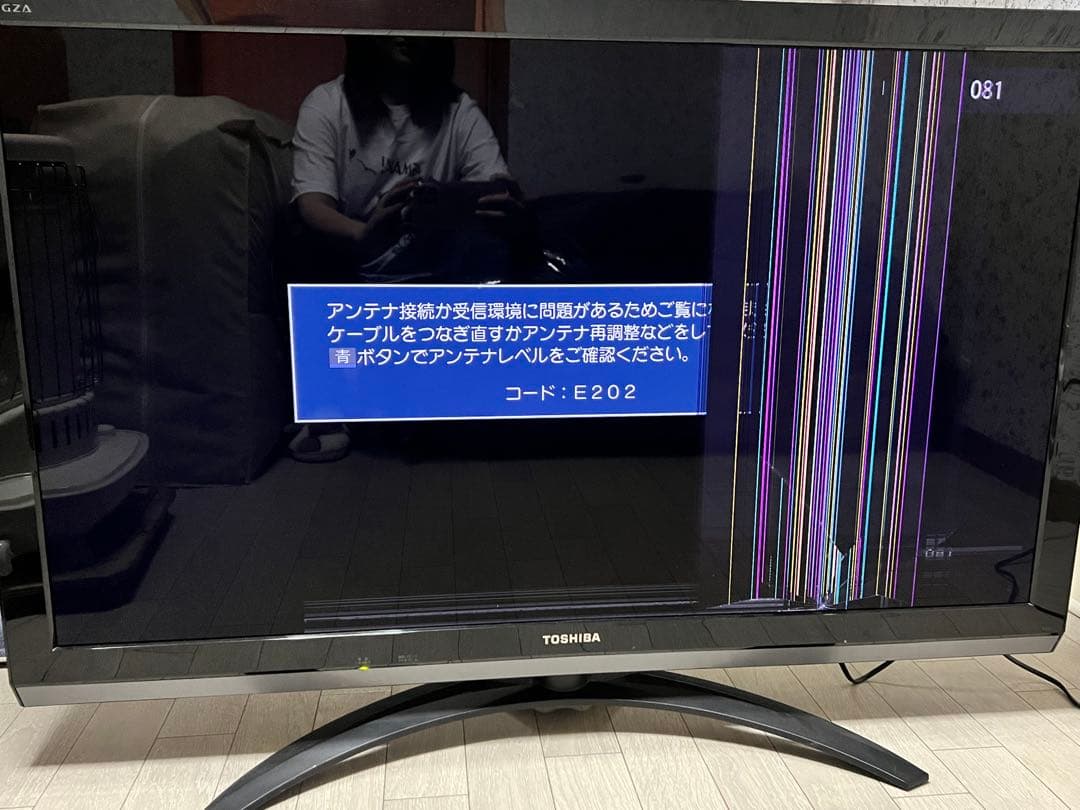 TOSHIBA REGZA 42Z7液晶テレビ&専用ハードディスク2.5TB付き TOSHIBA